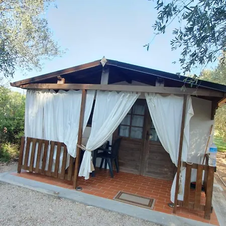 La Bimba 4*